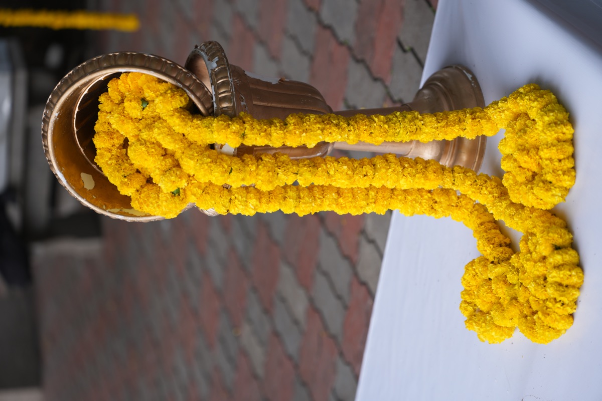 Haldi